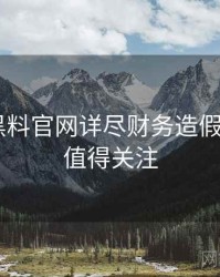 0511. 黑料官网详尽财务造假全纪录，值得关注