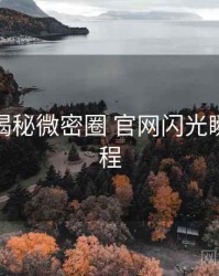 老玩家揭秘微密圈 官网闪光瞬间全流程