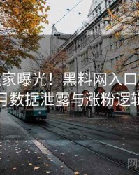 0205. 独家曝光！黑料网入口2019年4月数据泄露与涨粉逻辑