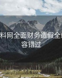 0841. 黑料网全面财务造假全纪录，不容错过