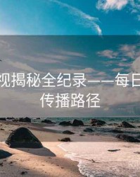 高清影视揭秘全纪录——每日大赛91传播路径