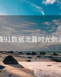 每日大赛91数据泄露时光倒流全追踪