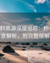 0828. 黑料资源深度追踪：粉丝后援会深意解析，附完整版解析