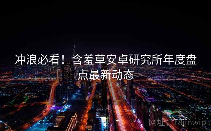 冲浪必看！含羞草安卓研究所年度盘点最新动态