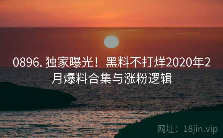 0896. 独家曝光！黑料不打烊2020年2月爆料合集与涨粉逻辑