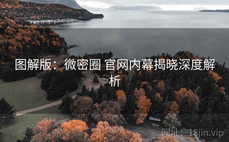图解版：微密圈 官网内幕揭晓深度解析