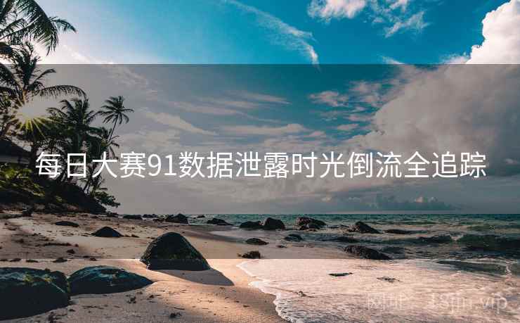 每日大赛91数据泄露时光倒流全追踪